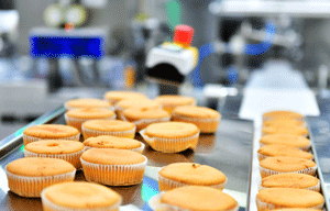 batch manufacturing software