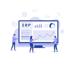 inventory erp system